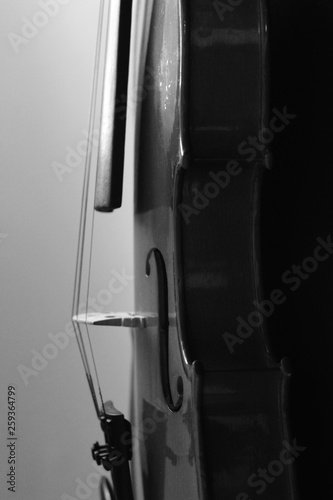 Musical instrument. Violin. Old violin. Black and white photo