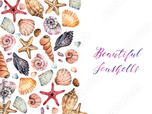 Watercolor illustration, Beautiful seashells, postcard for you, set, background white, handmade