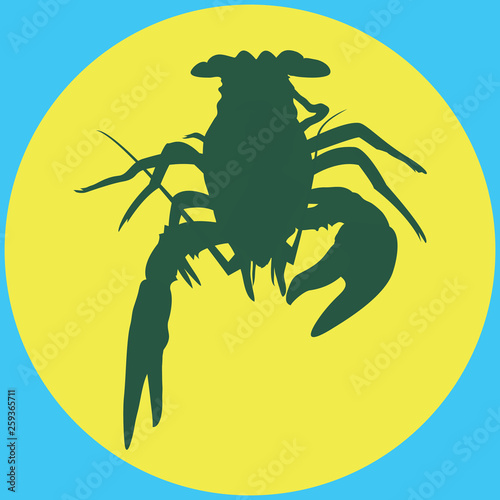 crawfish label crawfish silhouette, crayfish icon, lobster sign, crawfish symbol Vector illustration . river cancer silhouette