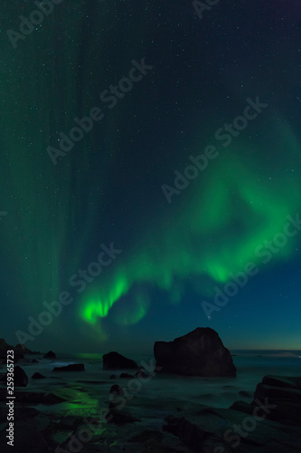 Aurora Borealis, northern lights at Utakleiv beach in summer night, Lofoten islands, Norway © benna23