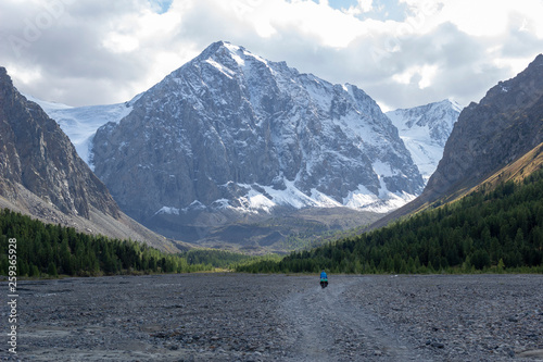 male cyclist riding up a hill on a road in summer portrait © Maksim