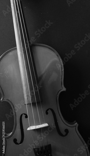 Musical instrument. Violin. Old violin. Black and white photo