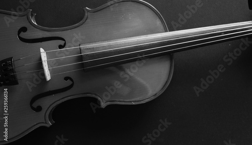 Musical instrument. Violin. Old violin. Black and white photo