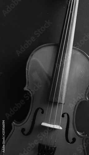 Musical instrument. Violin. Old violin. Black and white photo