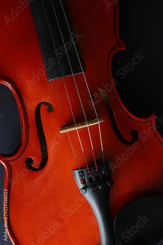 Musical instrument. Violin. Old violin.