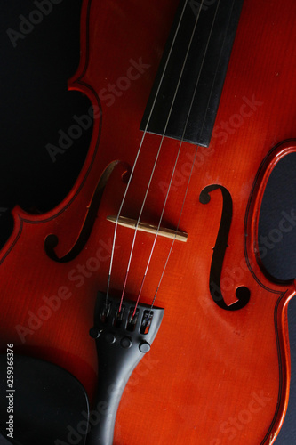 Musical instrument. Violin. Old violin.