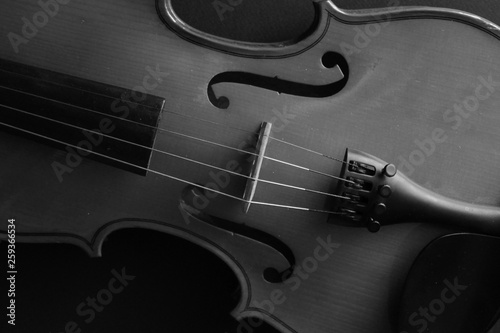 Musical instrument. Violin. Old violin. Black and white photo