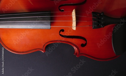 Musical instrument. Violin. Old violin.