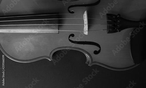 Musical instrument. Violin. Old violin. Black and white photo