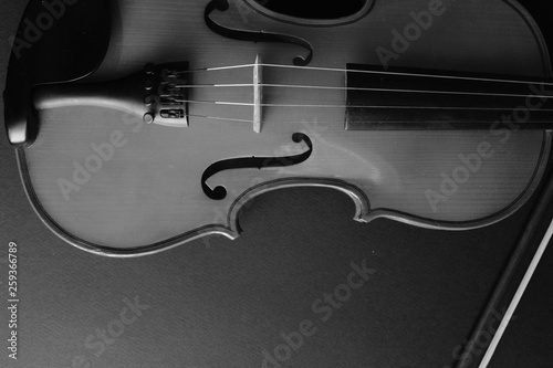 Musical instrument. Violin. Old violin. Black and white photo