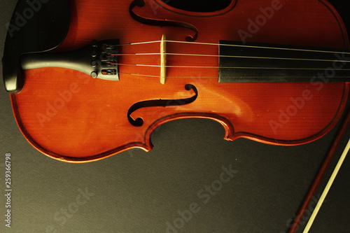 Musical instrument. Violin. Old violin.