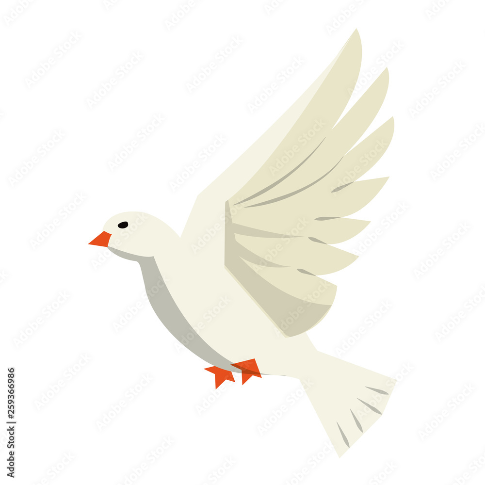 Fototapeta premium Dove bird flying cartoon