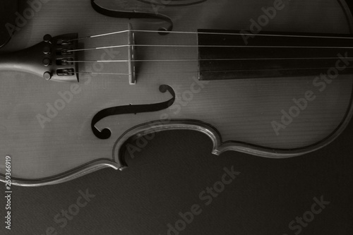 Musical instrument. Violin. Old violin. Black and white photo