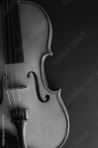 Musical instrument. Violin. Old violin. 