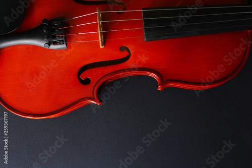 Musical instrument. Violin. Old violin.