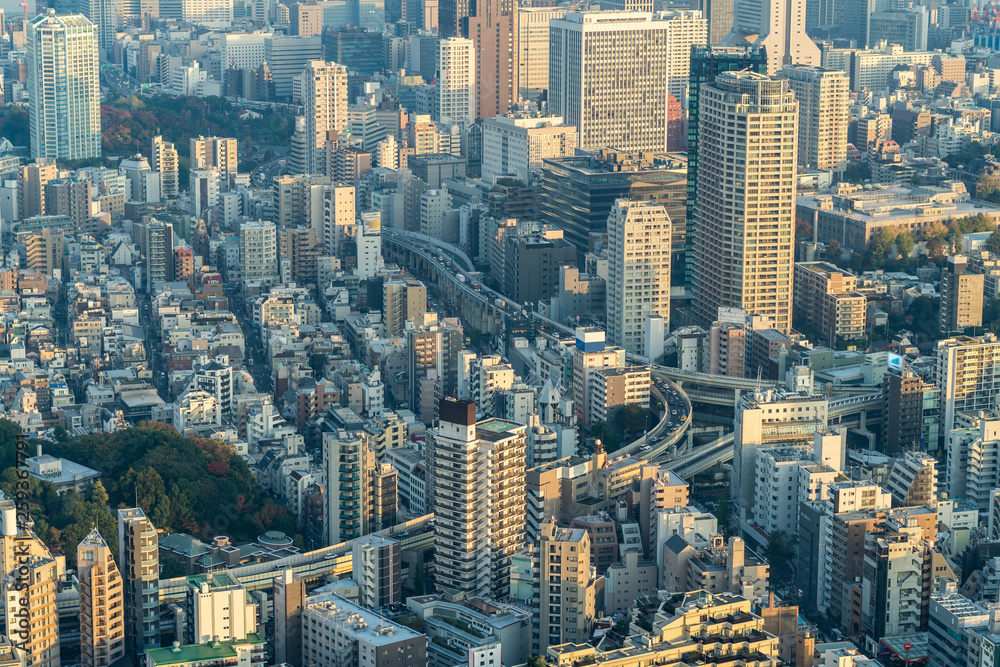 Obraz premium Tokyo Tower, Japan - communication and observation tower. It was the tallest artificial structure in Japan until 2010 when the new Tokyo Skytree became the tallest building of Japan.