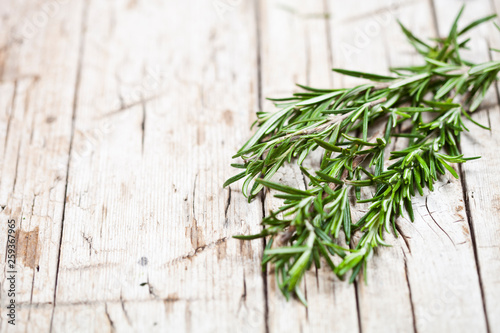 Fresh rosemary herb on rustic wooden background.