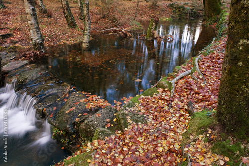 River in Autumn