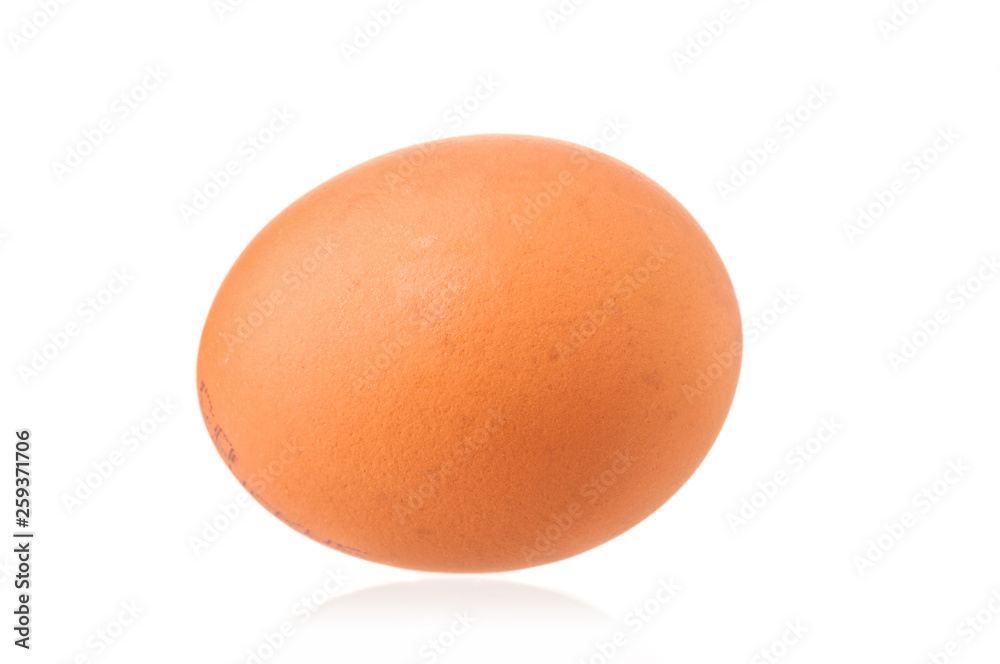Egg close up isolated on white background Egg close up isolated on white background