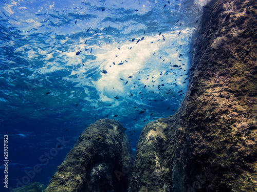 background of the underwater view of a rock wall