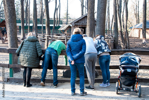 some people see a wild boar in zoo