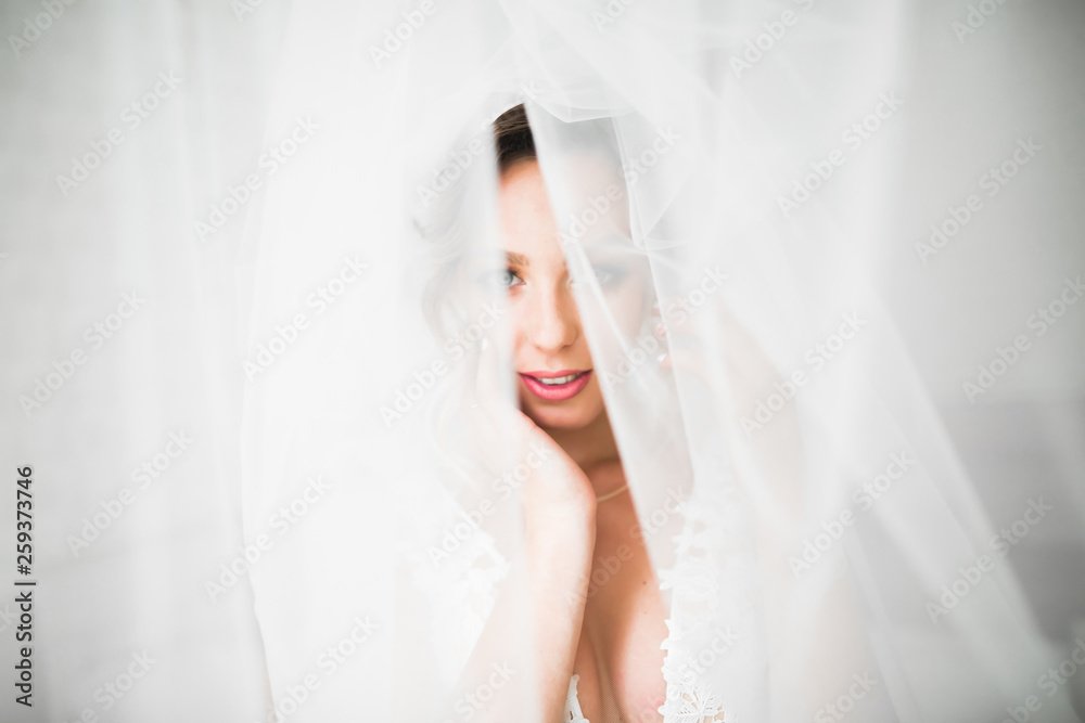 Beautiful luxury bride in elegant white dress Beautiful luxury bride in elegant white dress