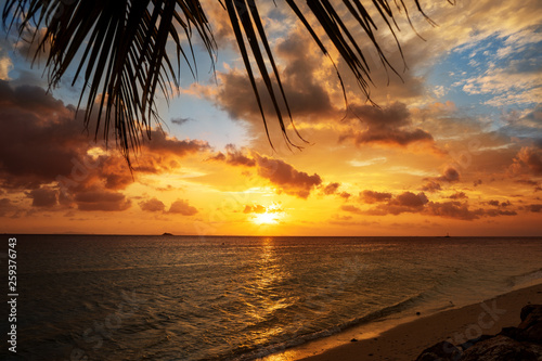 sunset on the sea with tropical palm trees