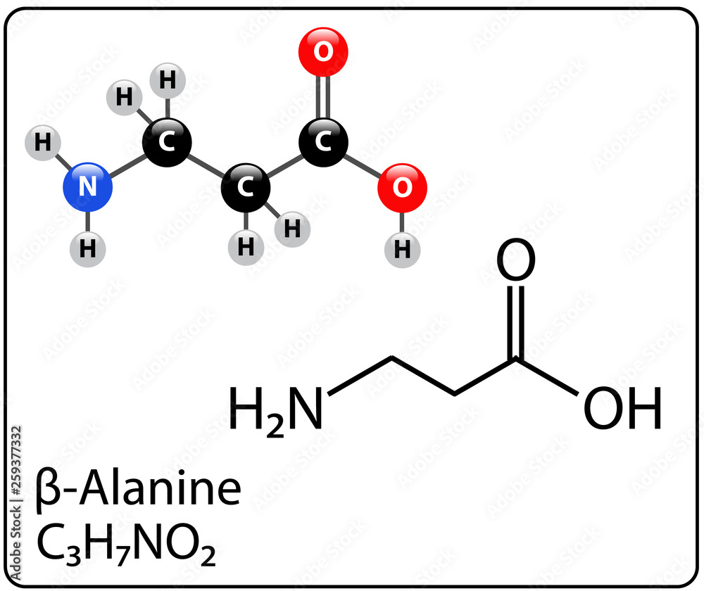 Beta-Alanine Molecule Structure Beta-Alanine Molecule Structure