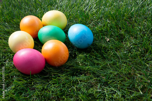 Painted Easter eggs on green grass