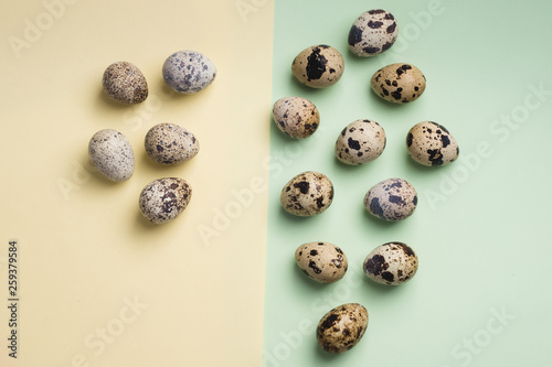 heap of quail eggs on yellow and green background. Vegetarian food concept. Eco products.. Top view. flatlay