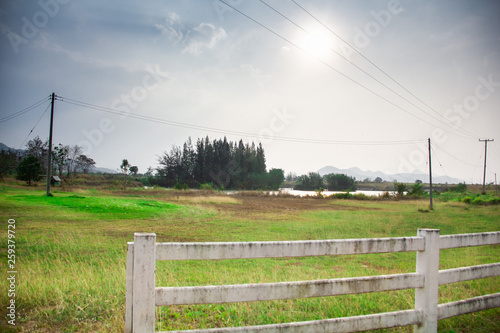 landscape with green field and blue sky