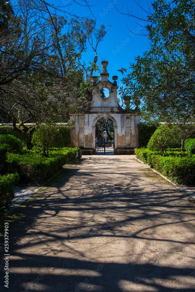 botanic garden of the Coimbra University in Portugal botanic garden of the Coimbra University in Portugal