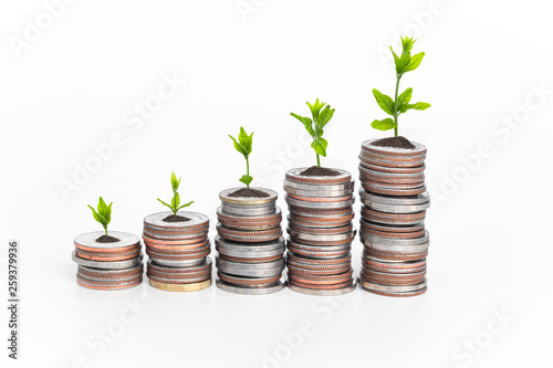 Financial planning, Money growth concept. Coins with young plant on white table.