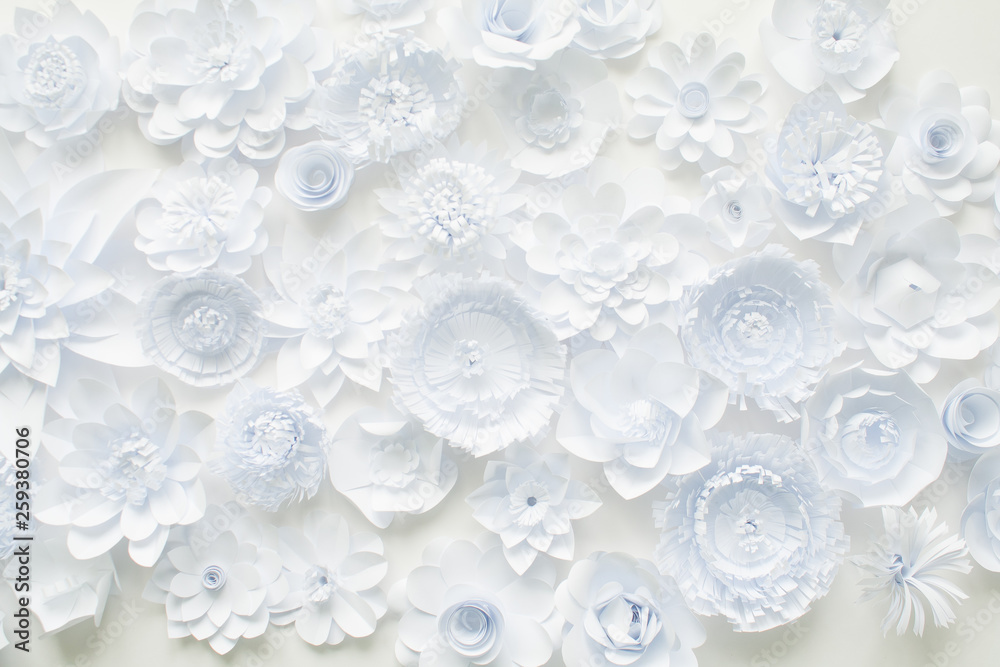 White paper flowers on white background. Floral