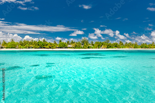 Fototapeta Naklejka Na Ścianę i Meble -  Beautiful tropical beach and sea with coconut palm tree on blue sky in Maldives island - Boost up color Processing