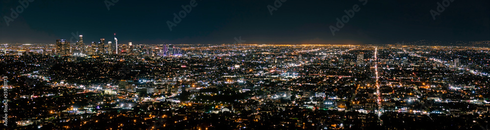 Los Angeles panoramic skyline by night