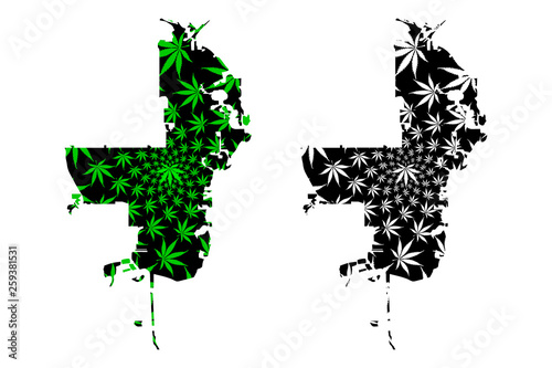 St. Petersburg city (United States of America, USA, U.S., US, United States cities, usa city)- map is designed cannabis leaf green, City of St. Petersburg map made of marijuana (marihuana,THC) foliage