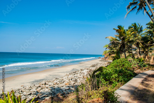 Beach with palm trees in Varkala in India