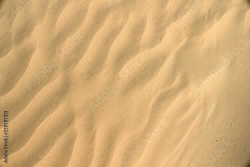  Close view of sand dunes at Aracaju  Brasil