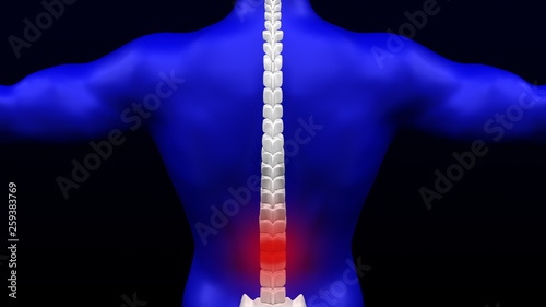 Lower back pain. 3D rendering.