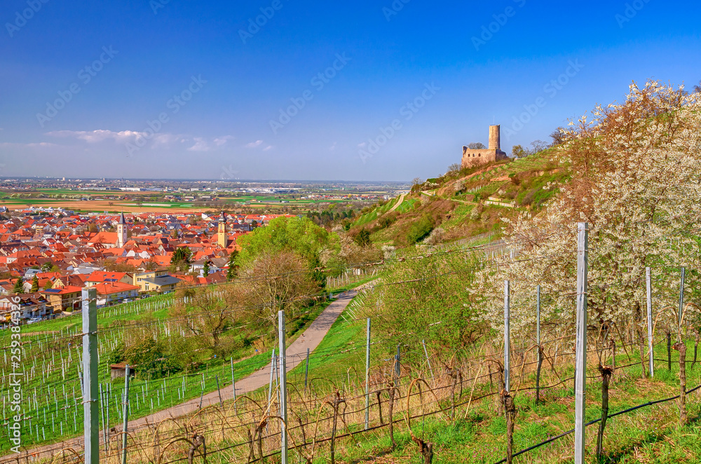 Weinberge mit Strahlenburg und Schriesheim an der Bergstraße im