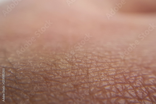macro skin of human hand.Medicine and dermatology concept. Details of human skin background