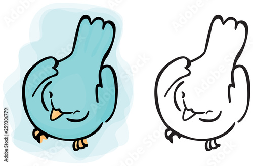 Little bird