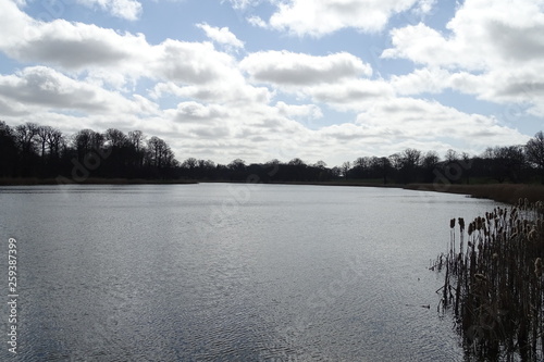 Blue sunny skies over Blickling Hall lake  Norfolk  England  UK