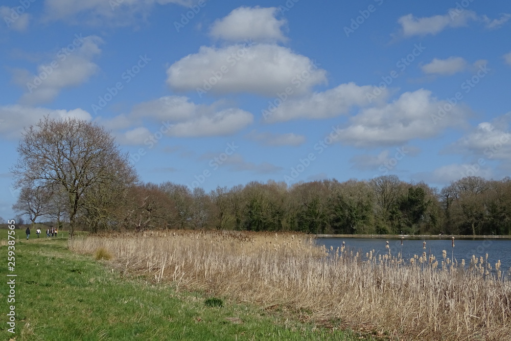 Blue sunny skies over Blickling Hall lake, Norfolk, England, UK