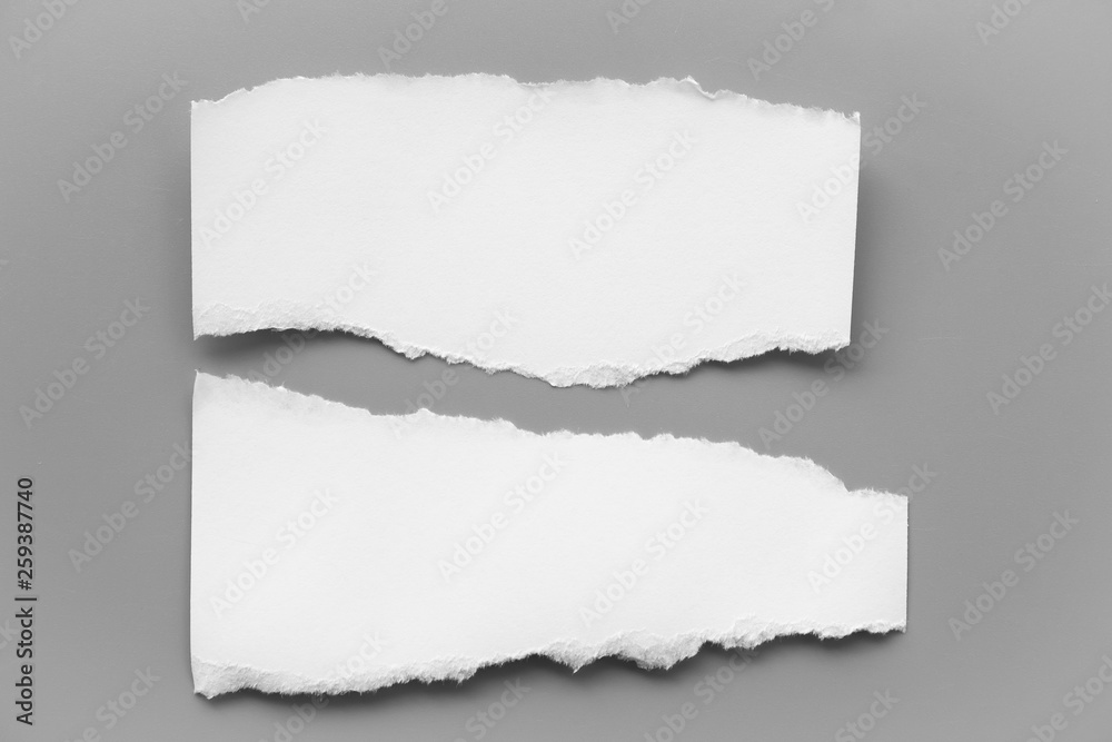 Fototapeta premium white torn paper on gray background. collection paper rip