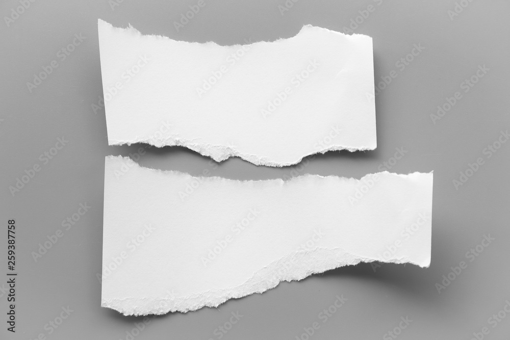 Fototapeta premium white torn paper on gray background. collection paper rip