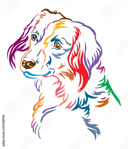 Wallpaper Mural Colorful decorative portrait of Nederlandse Kooikerhondje Dog vector illustration Torontodigital.ca