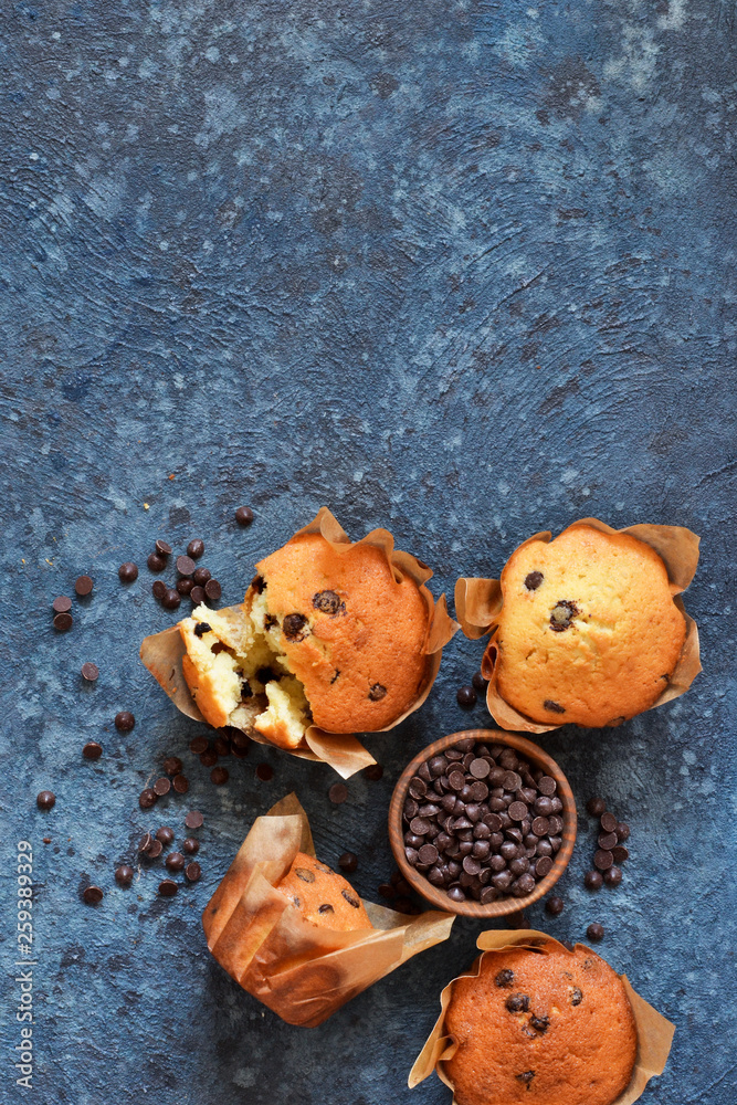 Vanilla muffins in paper form with chocolate drops on a concrete background. View from above.