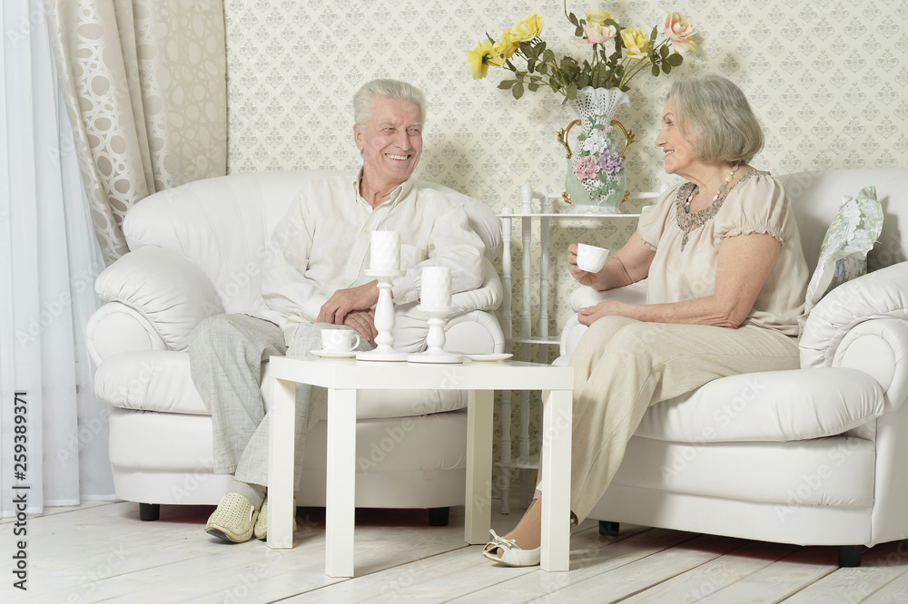 Portrait of happy senior couple resting at home with tea cups